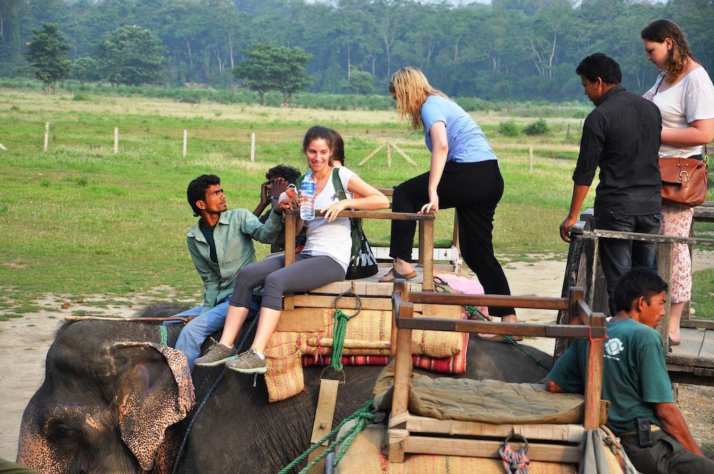 Chitwan Paradise Hotel Sauraha Exterior foto