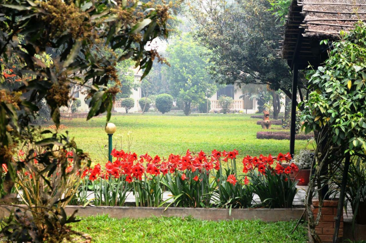 Chitwan Paradise Hotel Sauraha Exterior foto