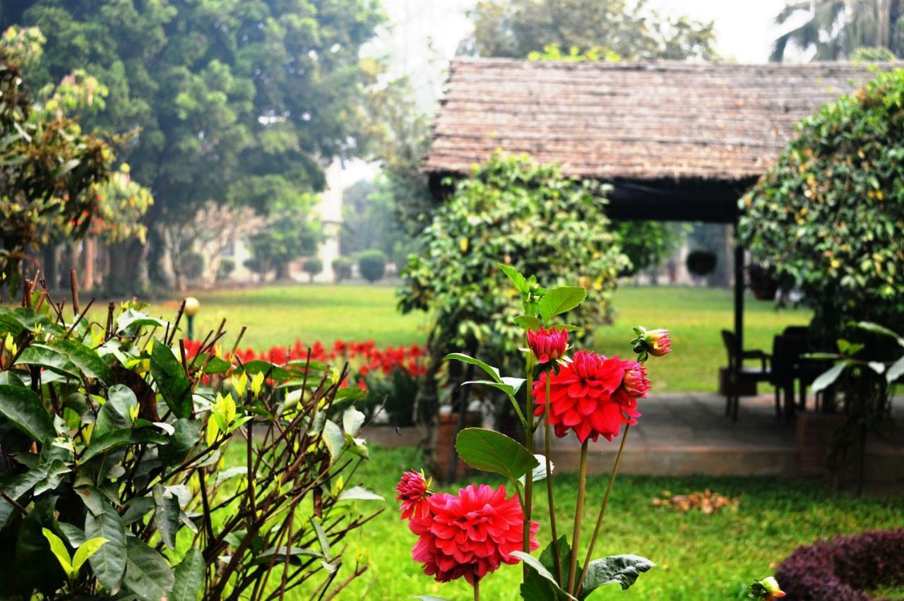 Chitwan Paradise Hotel Sauraha Exterior foto